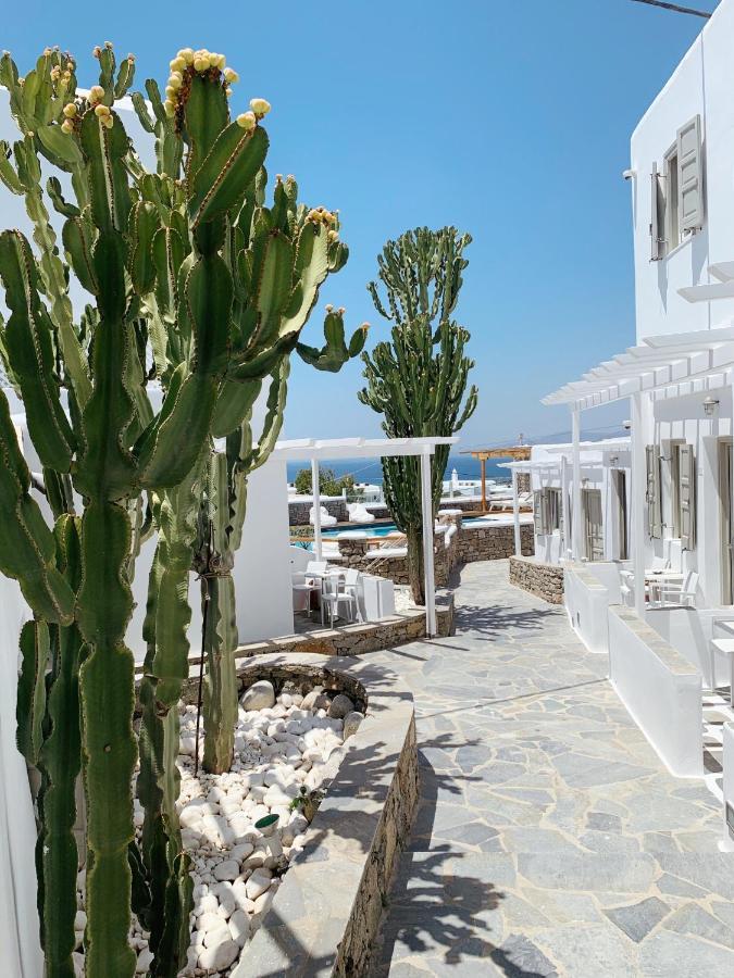 Damianos Mykonos Hotel Mykonos Town Екстер'єр фото